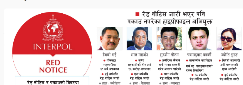 'इन्टरपोल'को 'रेड नोटिस'मा ९८ नेपाली: साना अभियुक्त धमाधम पक्राउ, 'मोस्ट वान्टेड'हरू ‘मस्त’
