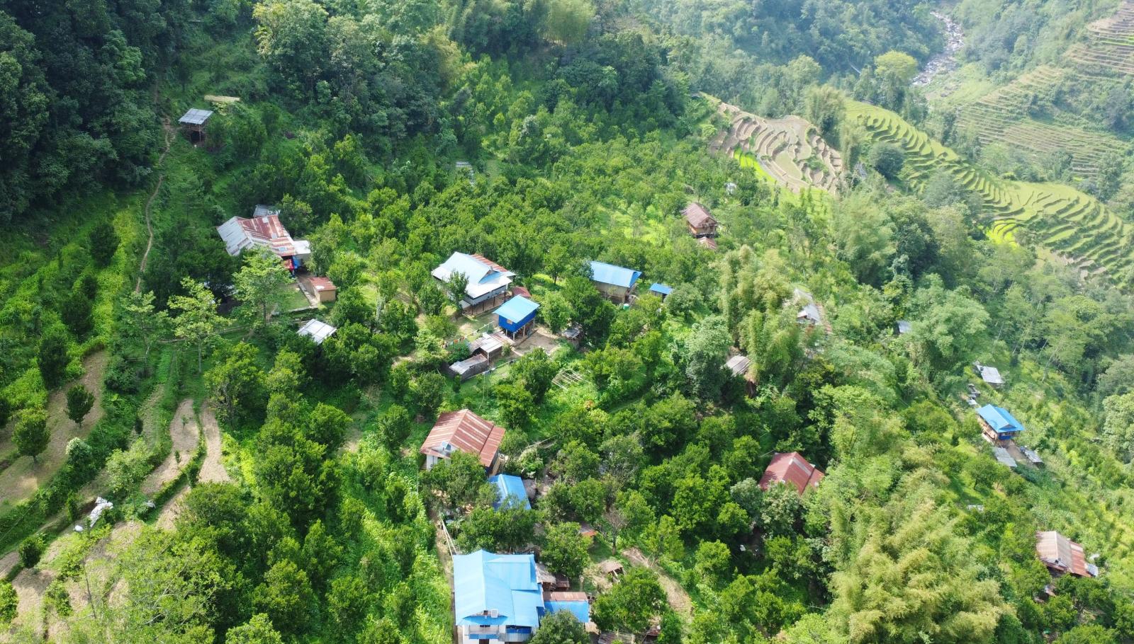भोजपुरको छिनामखुमा परम्परागत बालीको विकल्प बन्दै सुन्तला